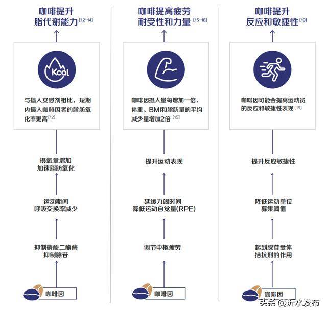 好处可能比你知道的还要多ag旗舰厅网站入口咖啡的(图1)